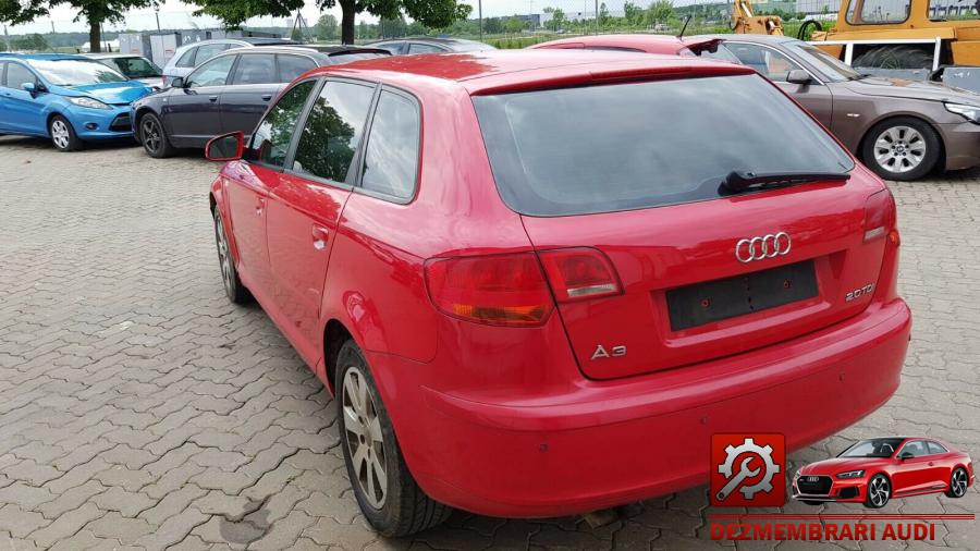 Punte spate audi a3 2004