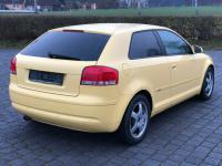 Baie ulei audi a3 2010